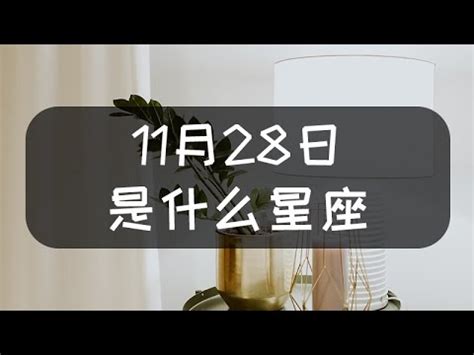 11月28什麼星座